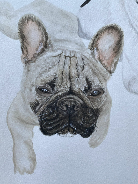 Retrato de 4 Mascotas Rectangular + Marco Simple