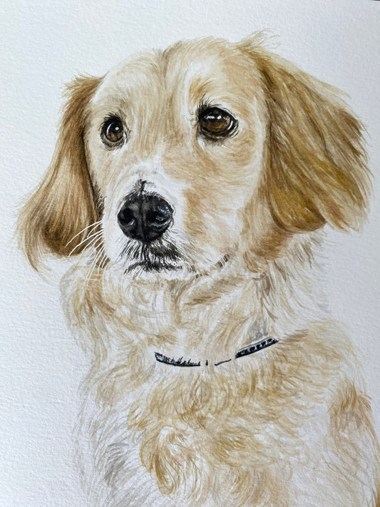Retrato de 2 Mascotas Rectangular (sin marco)