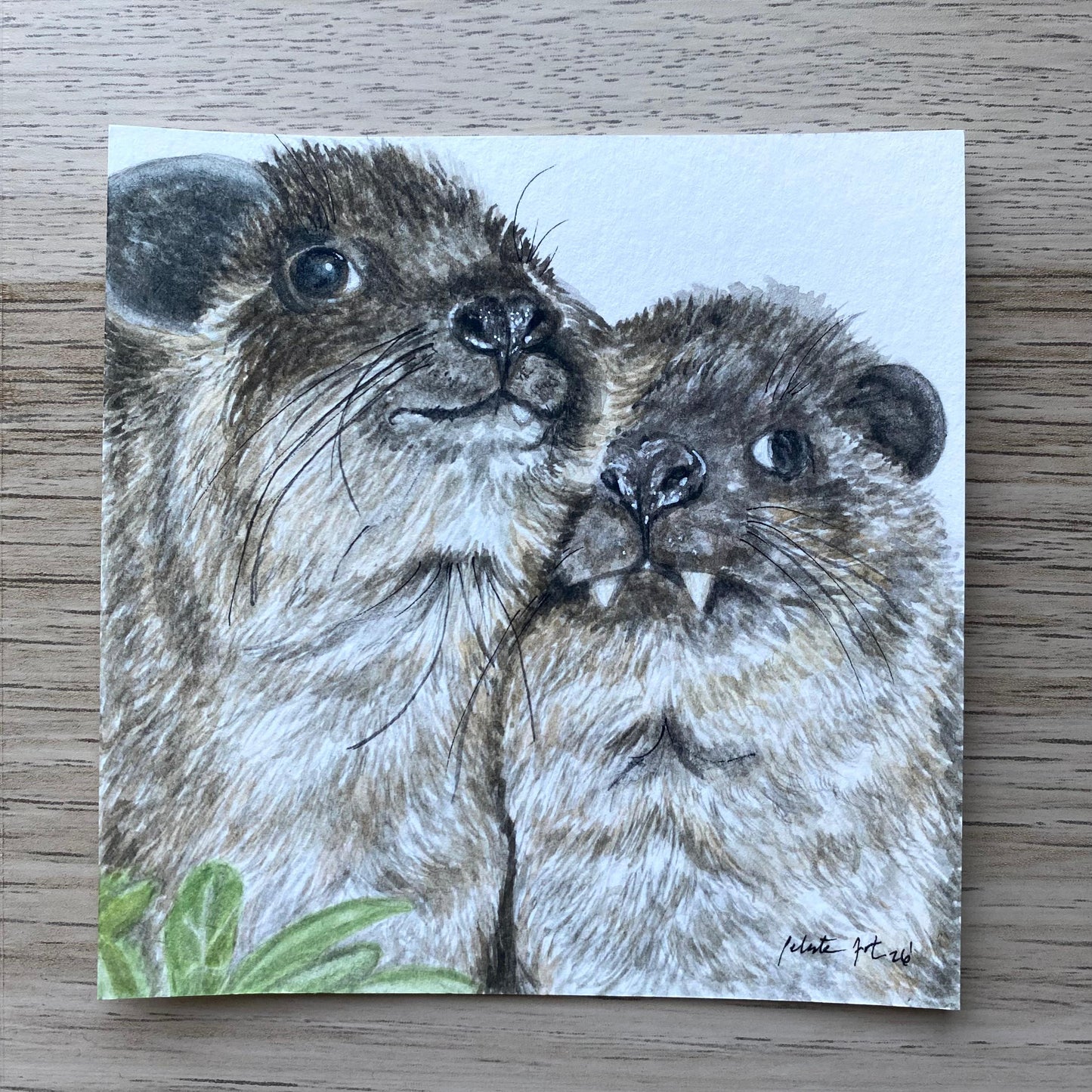 Mini Pareja de Awawas