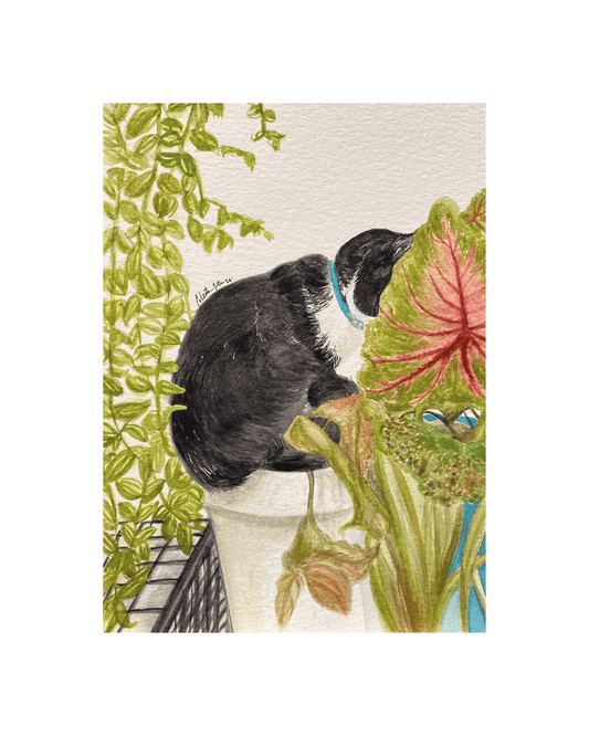 El Jardinero (Copia 1/6 Edición Limitada)