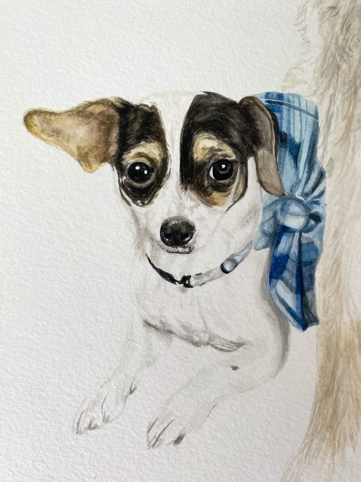 Retrato de 2 Mascotas Rectangular (sin marco)