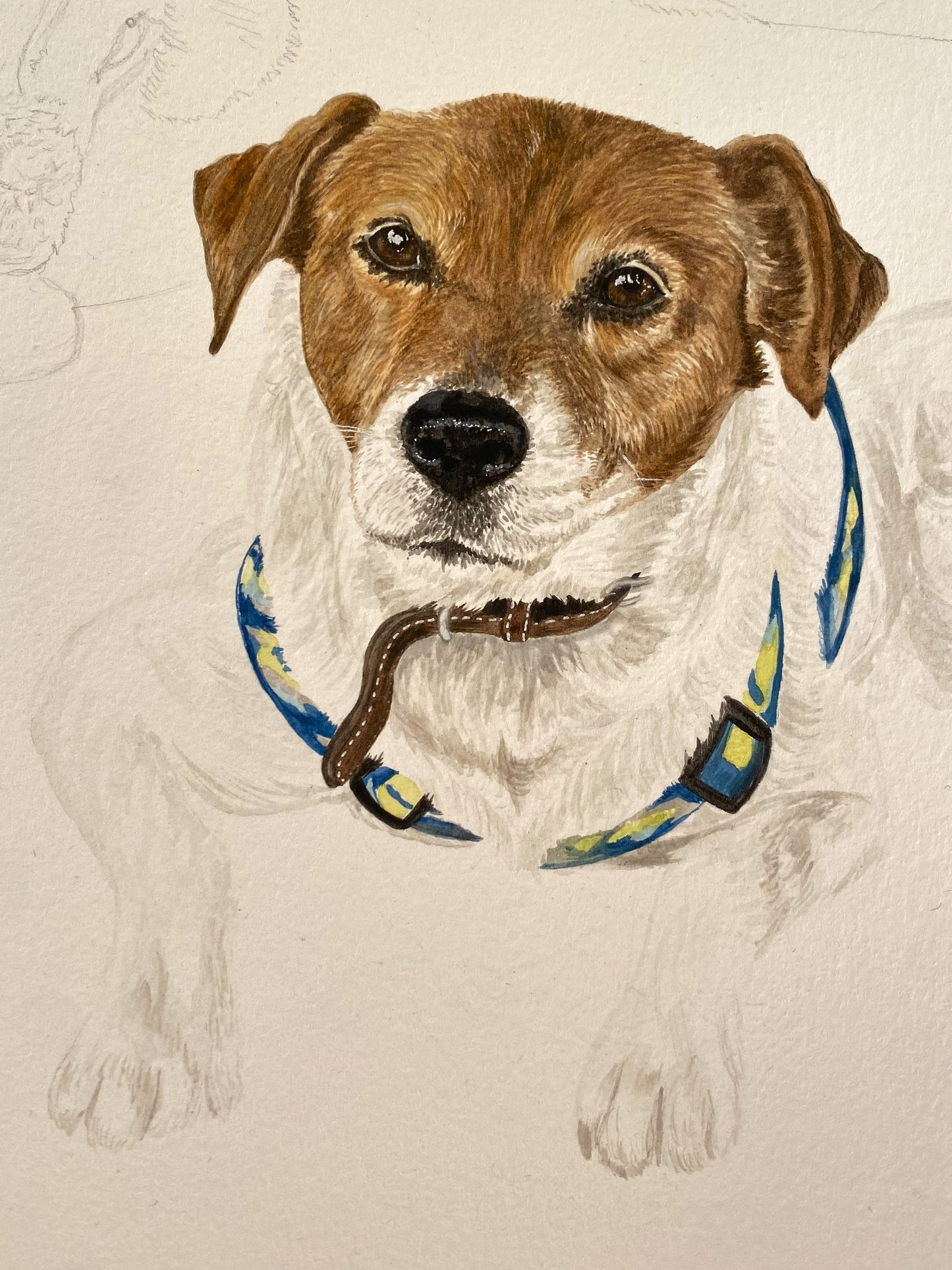 Retrato 4 Mascotas Rectangular  (sin marco)