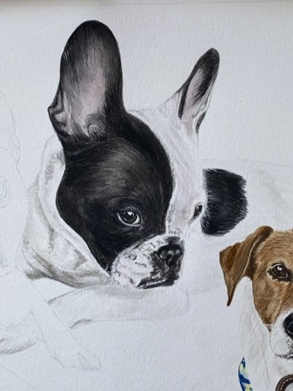 Retrato 4 Mascotas Rectangular  (sin marco)