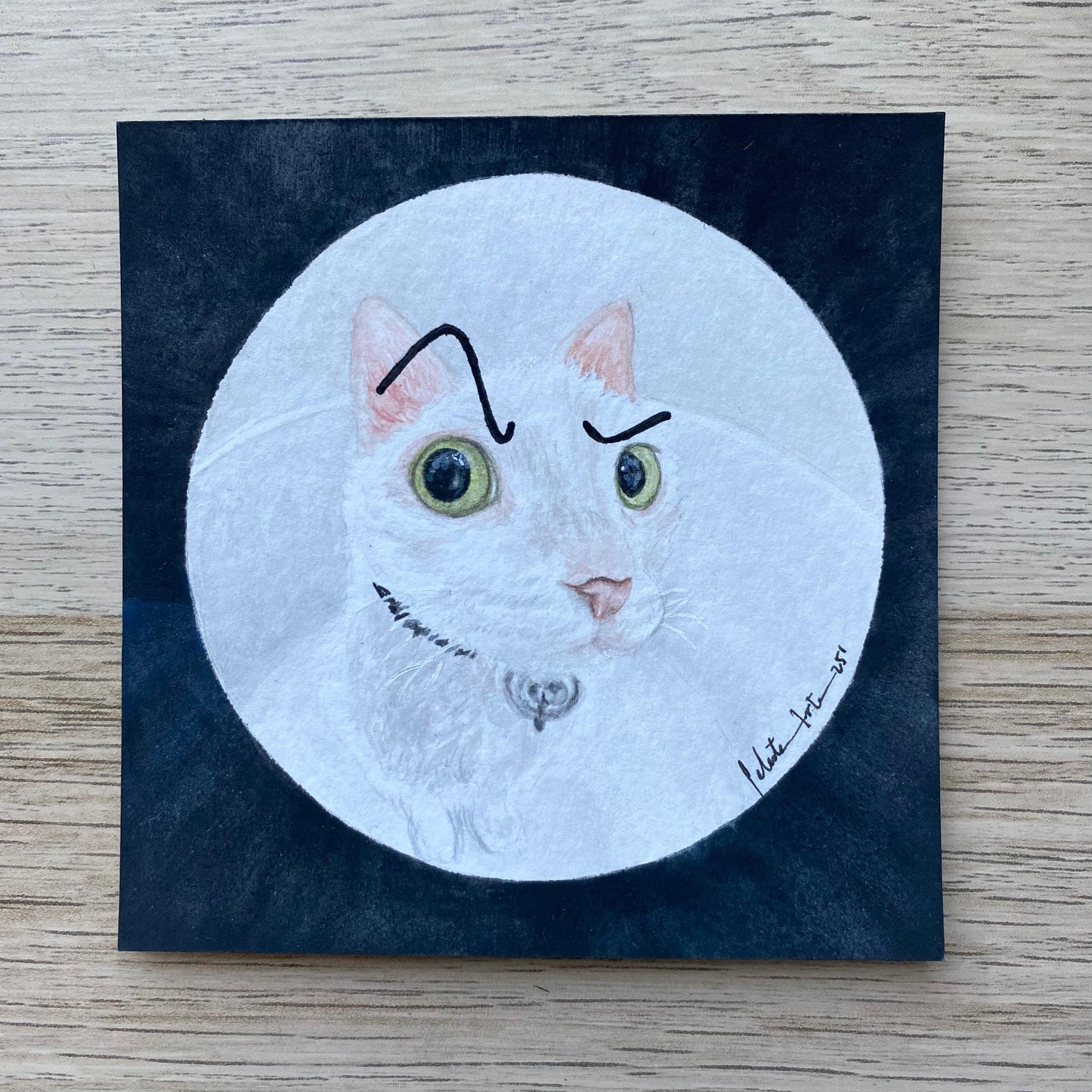Mini Gato La Roca