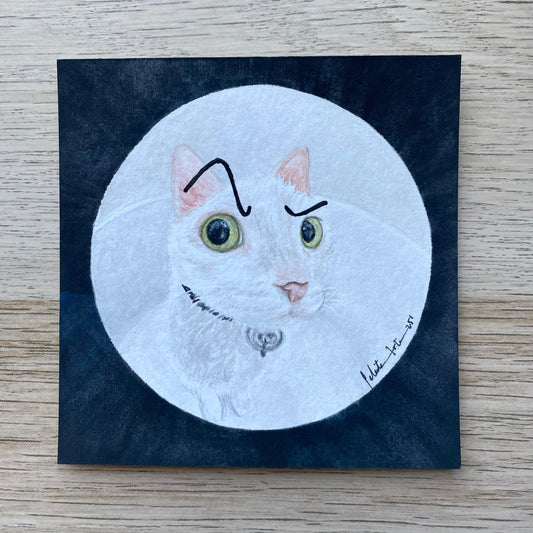 Mini Gato La Roca