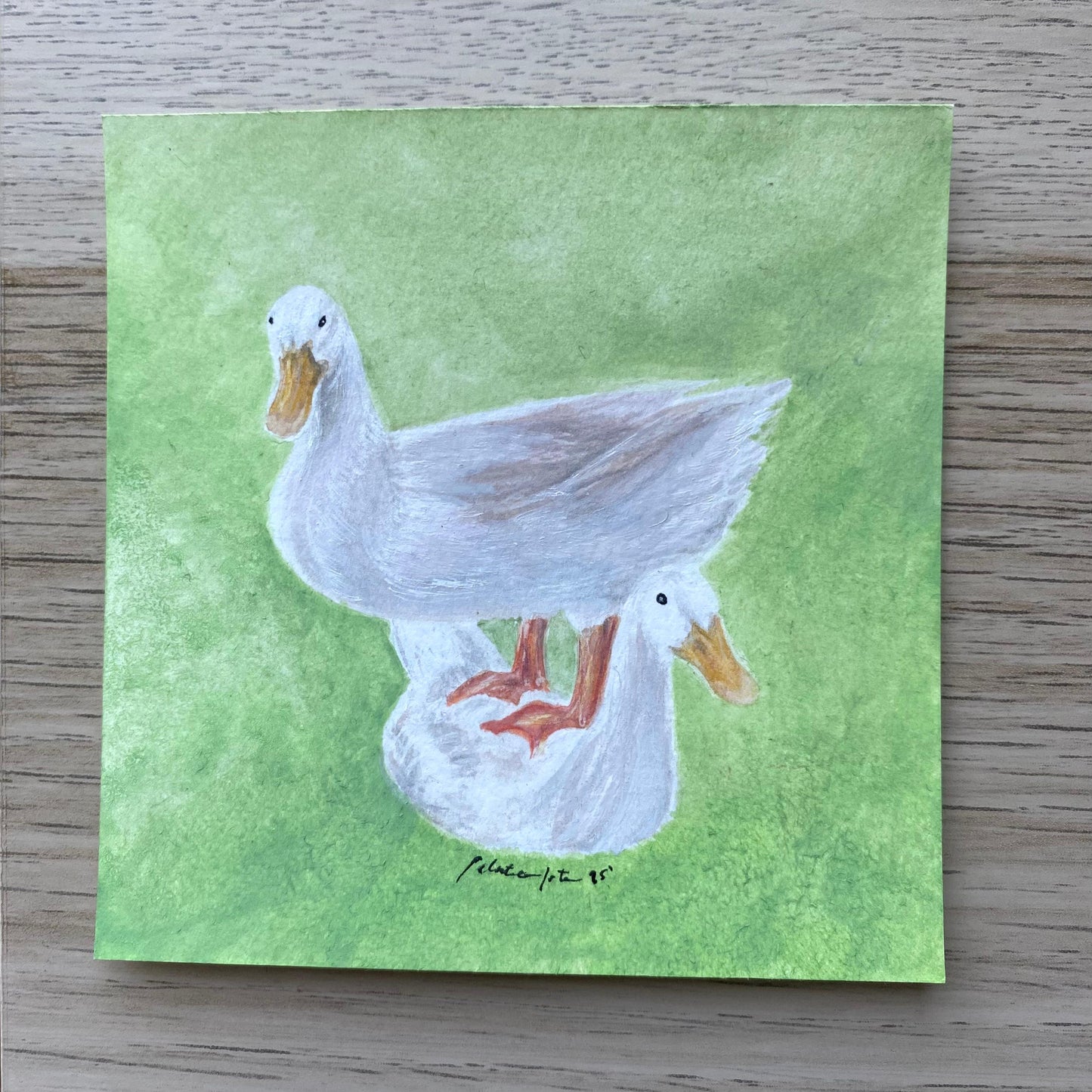Mini Pareja de Patos Fondo Verde