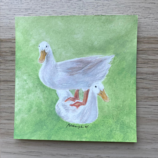 Mini Pareja de Patos Fondo Verde