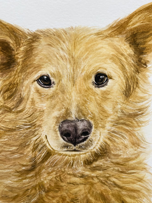 Retrato de 1 Mascota Rectangular (sin marco)